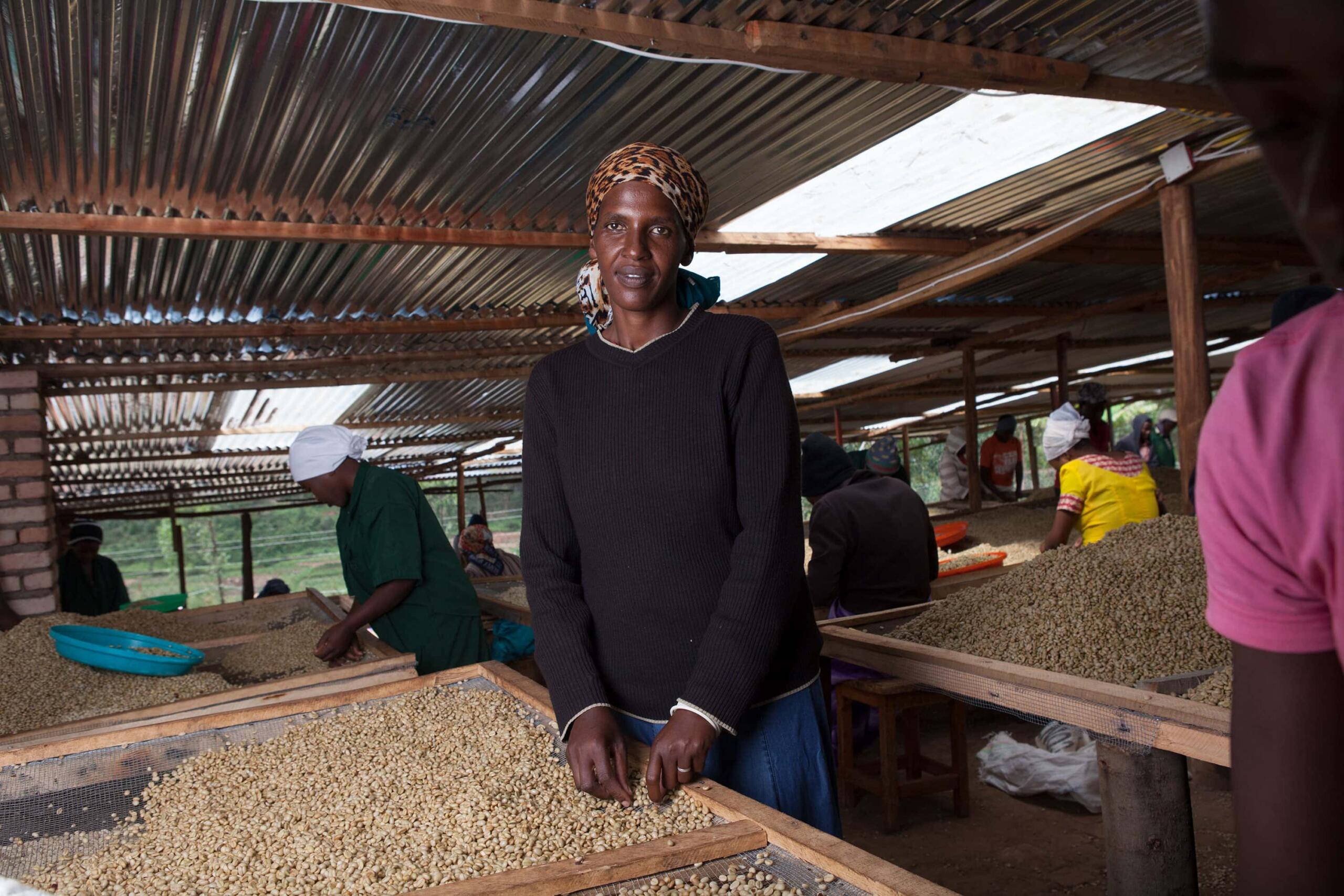 Rwandan coffee worker