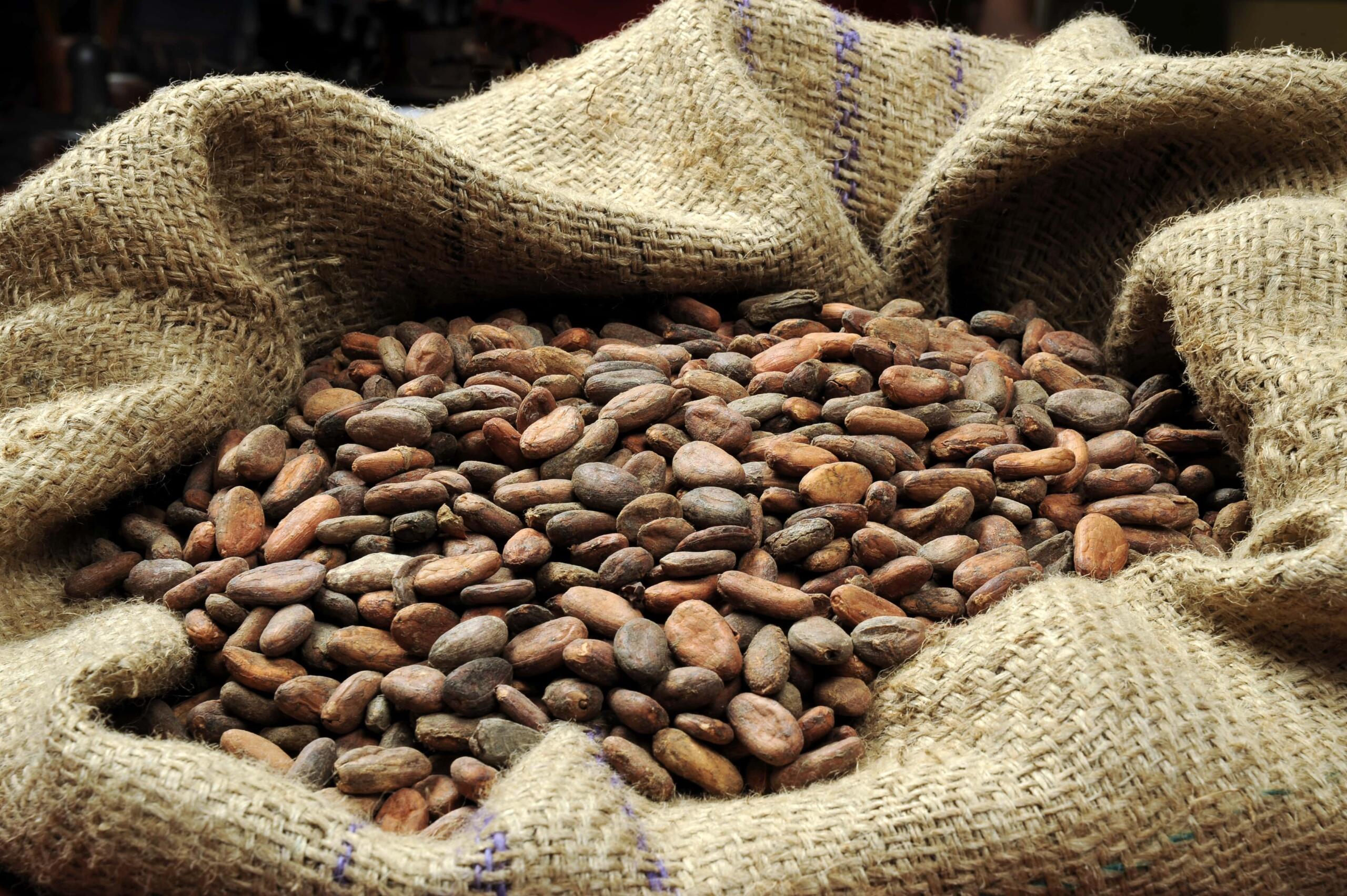sack of cocoa beans