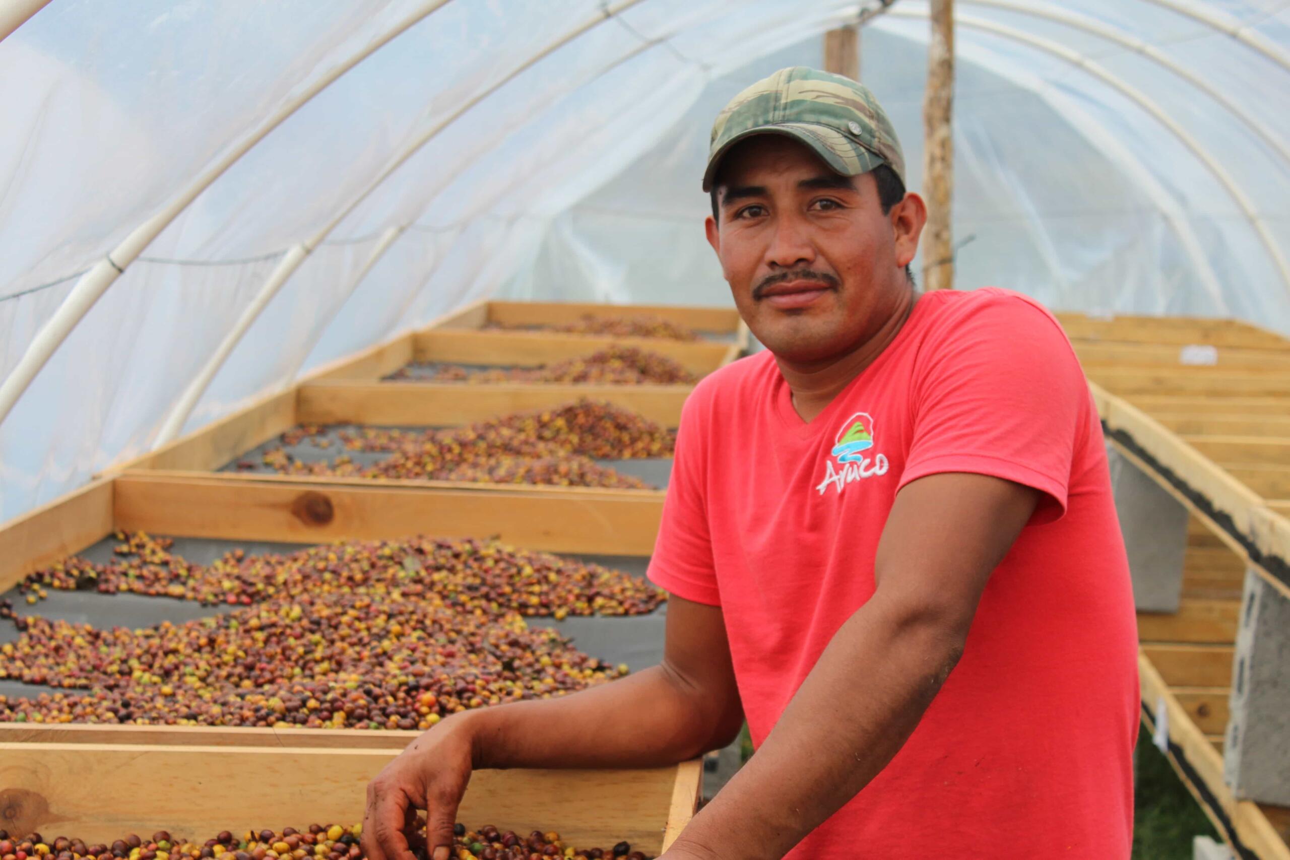 worker on the coffee farm in honduras