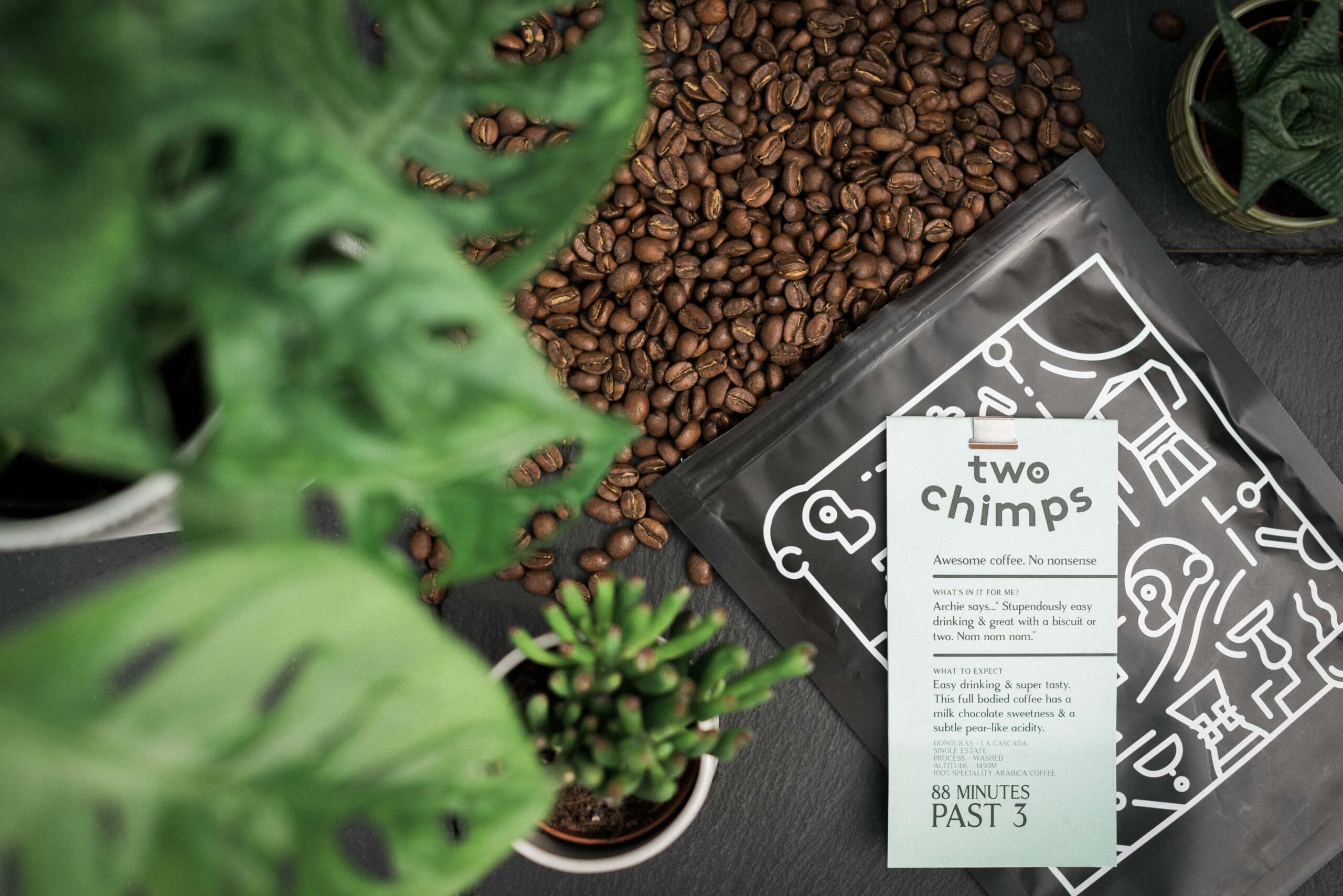 Bag of coffee lying on coffee beans beside green plants 