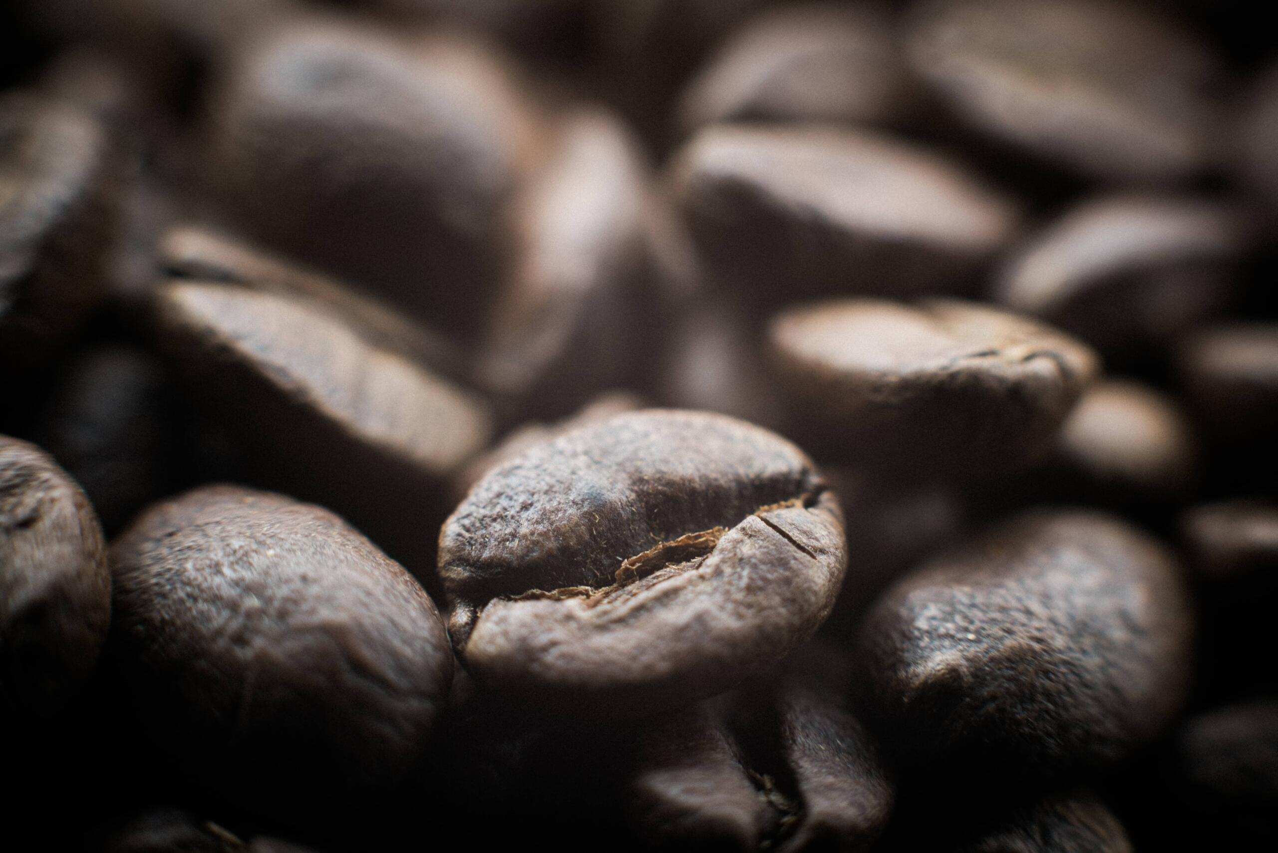 close up of coffee beans 