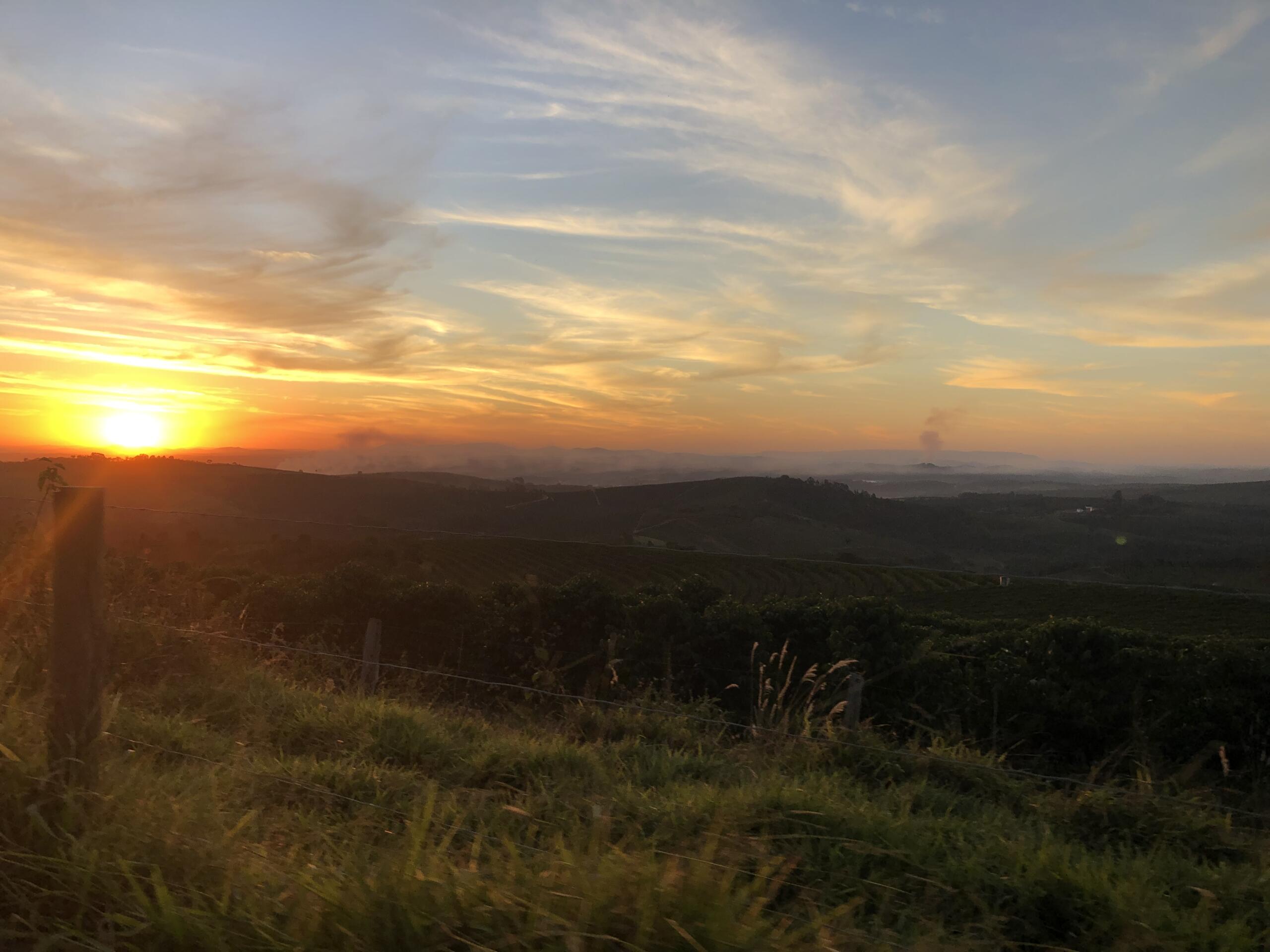 sunrise over coffee farm in Brazil 
