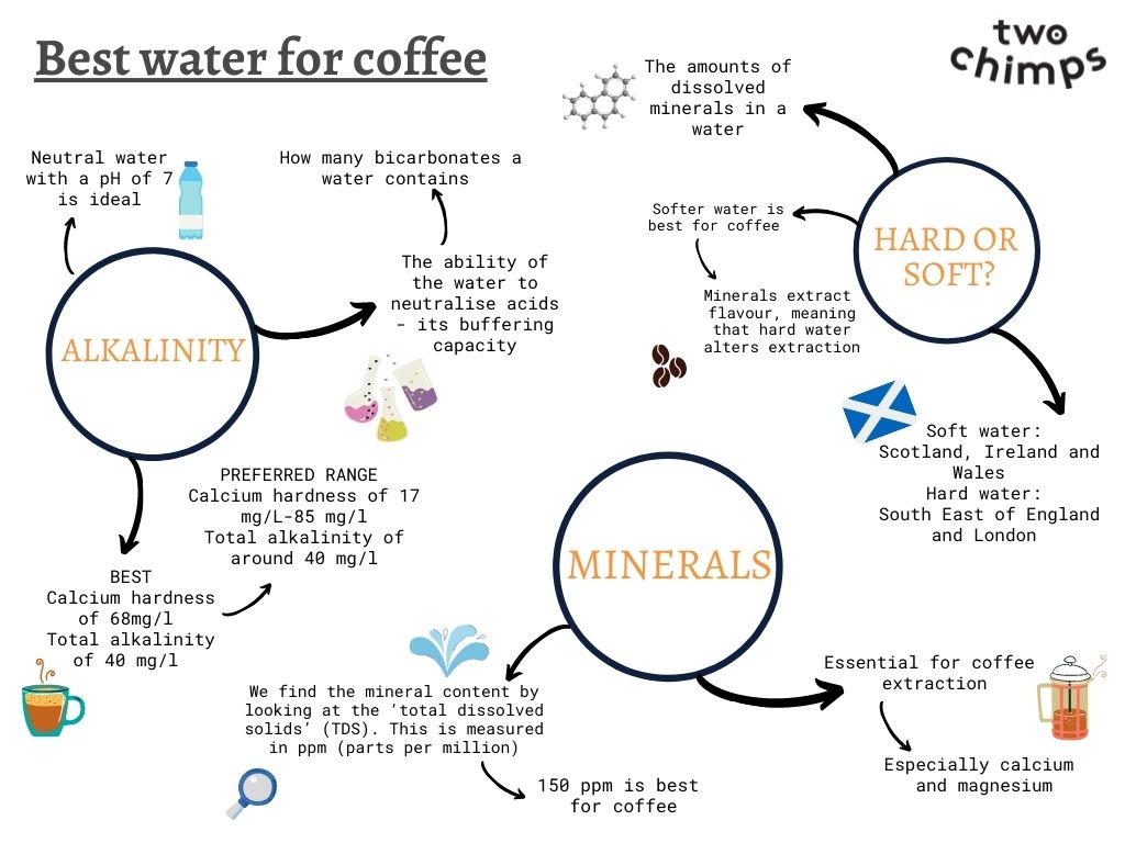 Visual graph describing the best type of water for coffee brewing