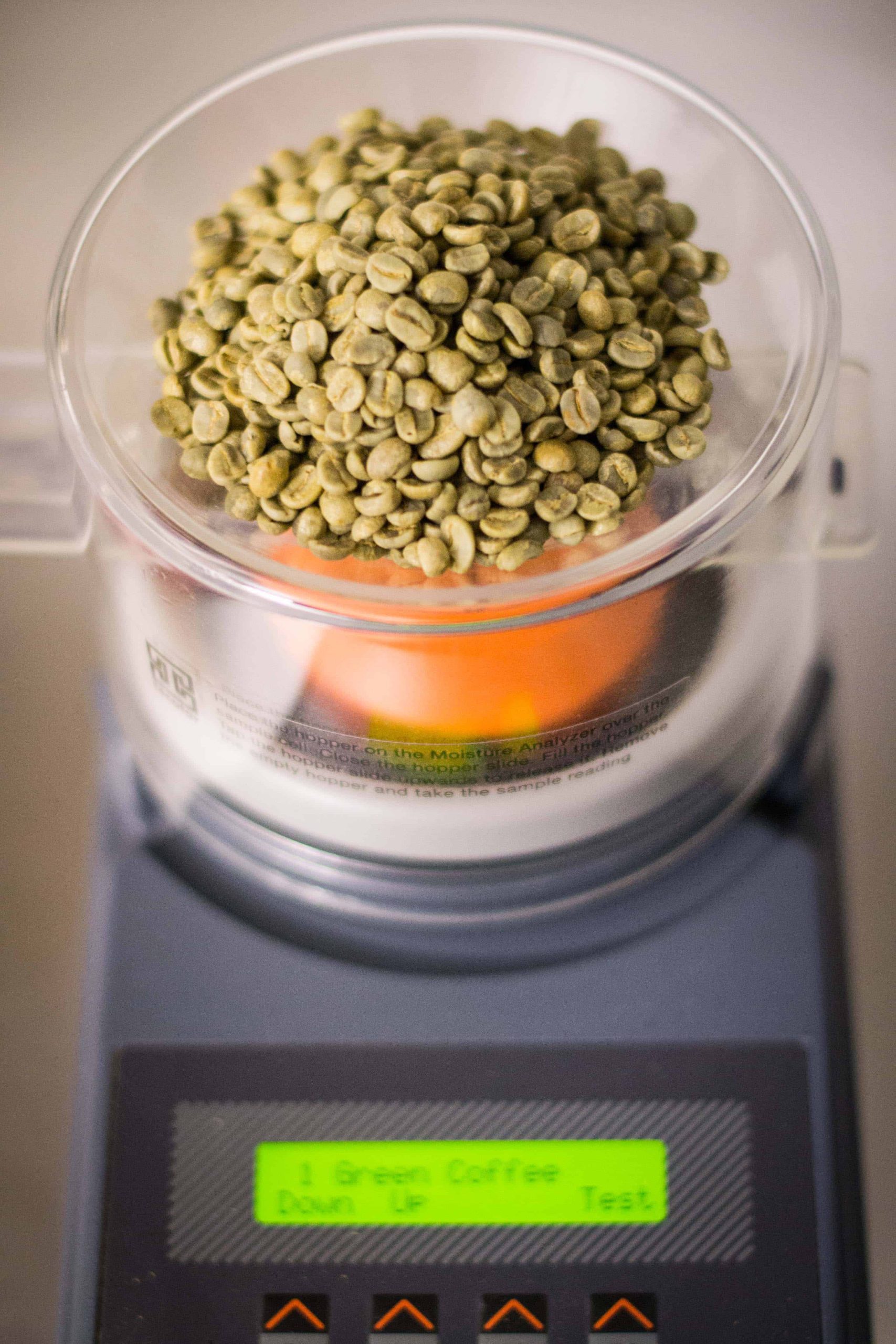 green coffee sitting in a moisture analyzer