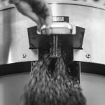 coffee beans falling out of the cooling tray