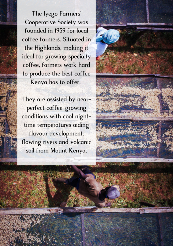 The coffee farm in Kenya that produced Over The Bars And Far Away, complete with label of information