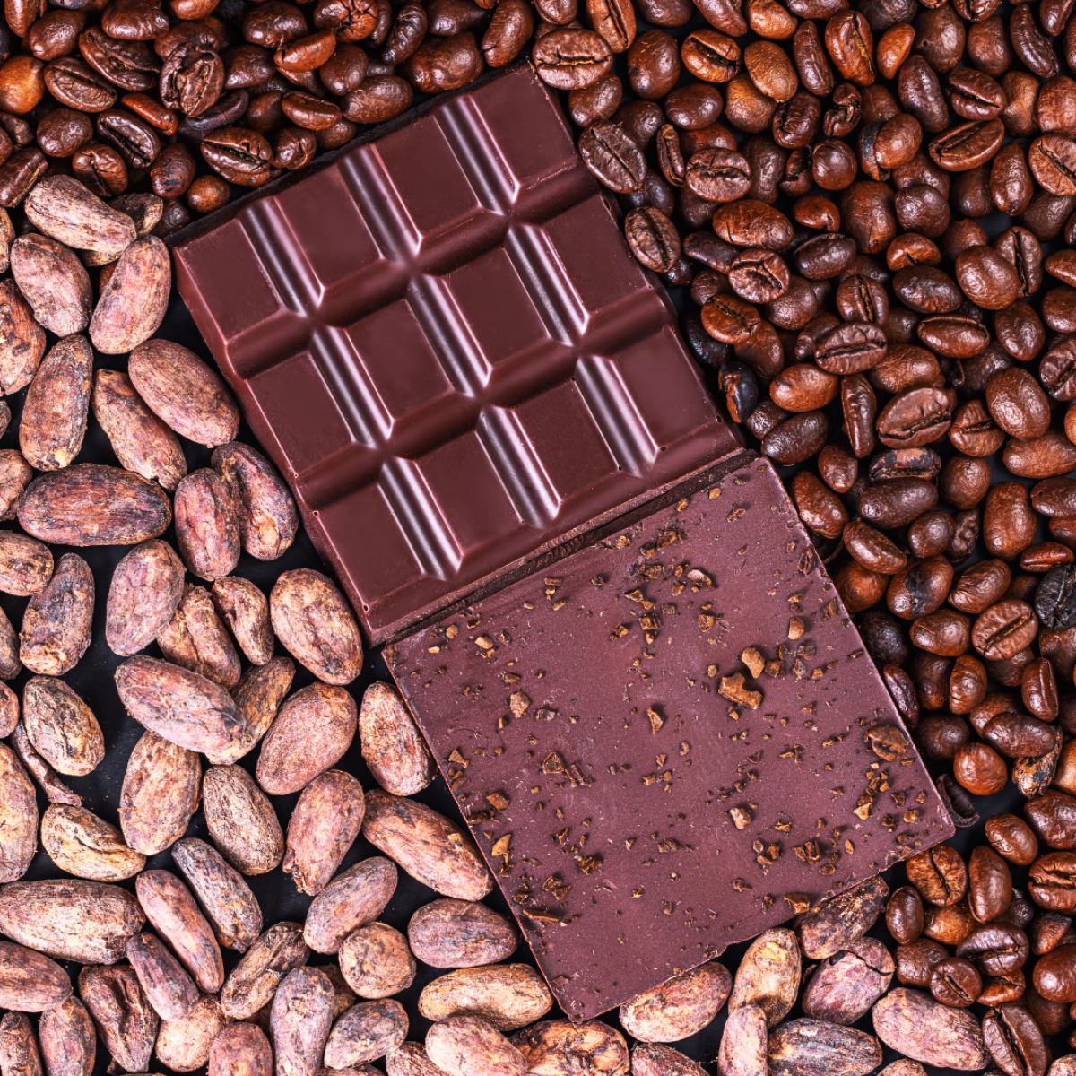 Difference Between Coffee Beans and Cocoa Beans - Two Chimps Coffee