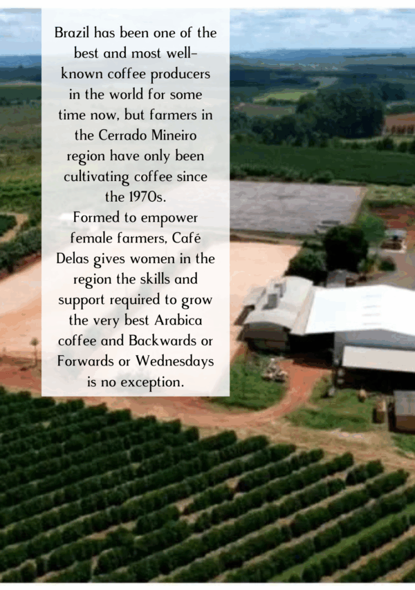Information about the Brazilian coffee farm that cultivated Backwards or Forwards or Wednesdays