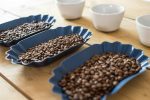 Three blue trays of coffee beans besides cupping bowls