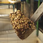 Speciality coffee processing in Brazil