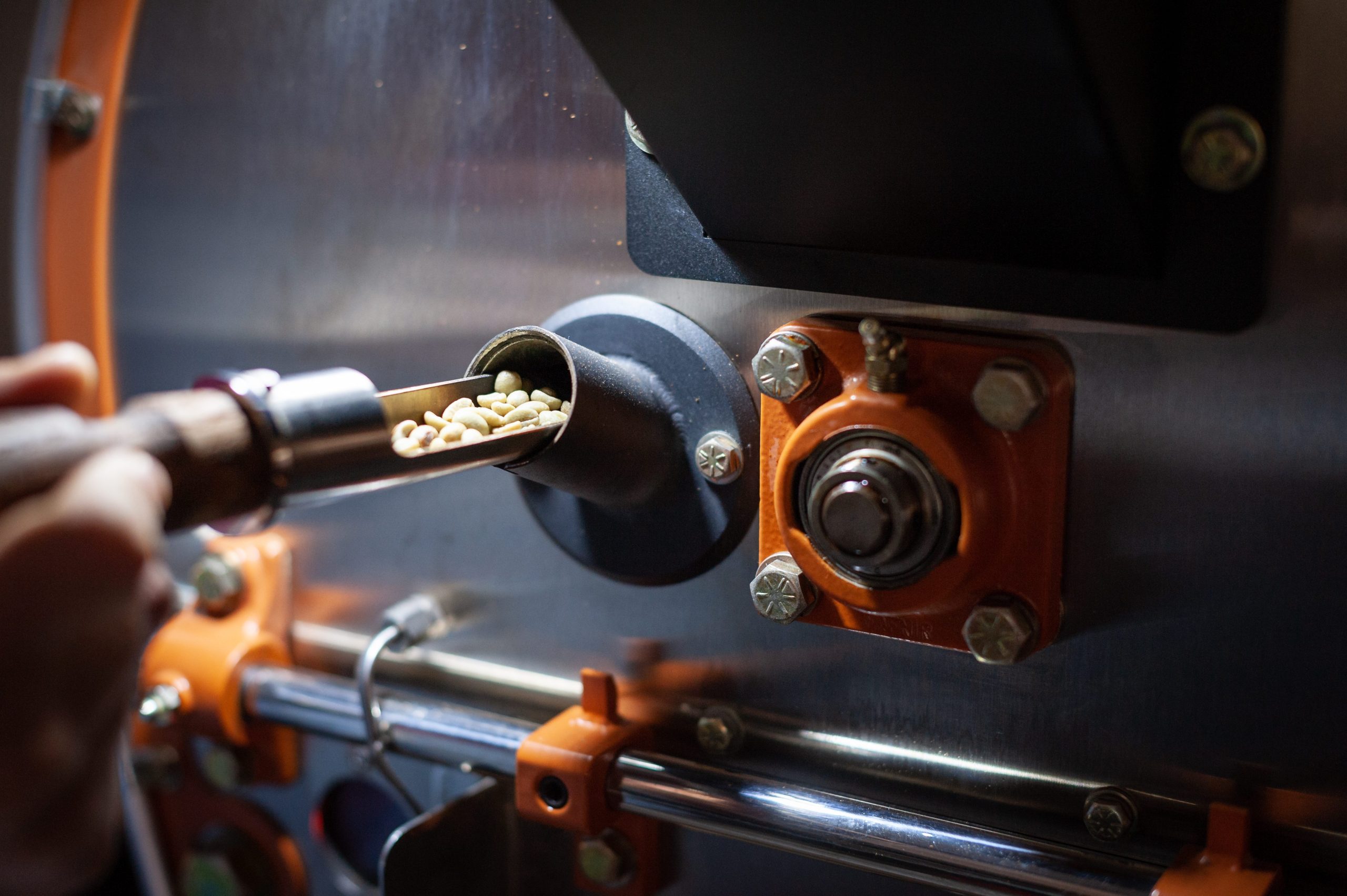Removing a sample of beans from the coffee roaster