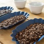 Three blue trays of coffee beans with white bowls
