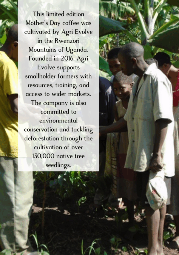 Information about the Mother's Day coffee with farmers from the Rwenzori Mountains in Uganda