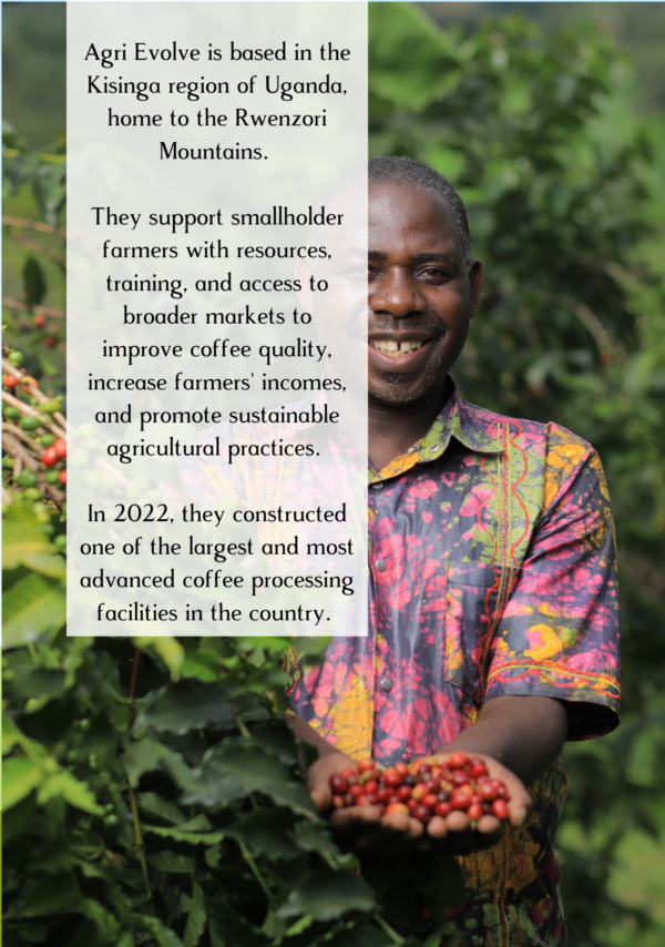 A coffee farmer from Uganda holding fresh coffee cherries with information about the farm and Agri Evolve