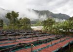 A picture of a coffee plantation in Uganda, Zukuka Bora, which cultivate and produce top-quality Arabica coffee for the specialty market around the world