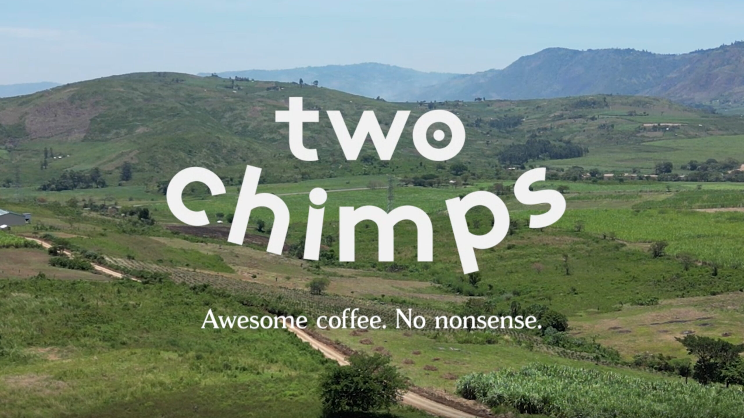 The Treehouse Times: All The Latest Coffee Industry News & Trends