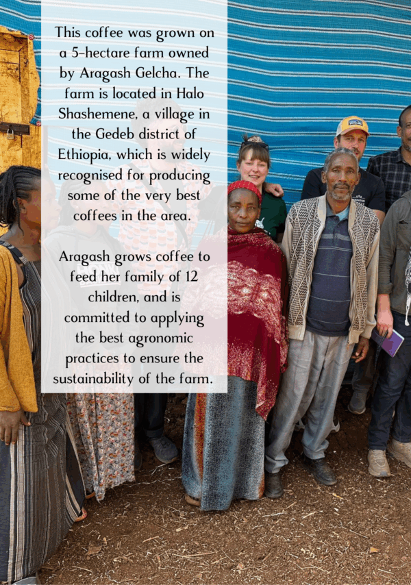 Information about the farm that produced the Valentines coffee